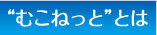 むこねっととは